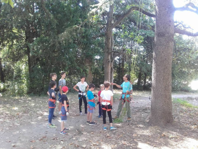 Sortie découverte Grimpe aux arbres