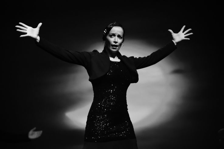 Tablao/ Spectacle flamenco Cie La Kuka